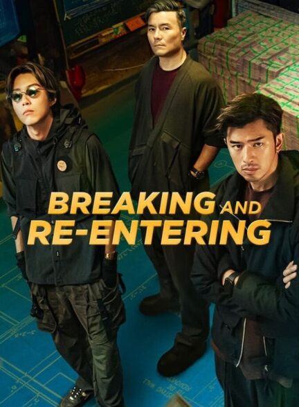 سرقت معکوس
